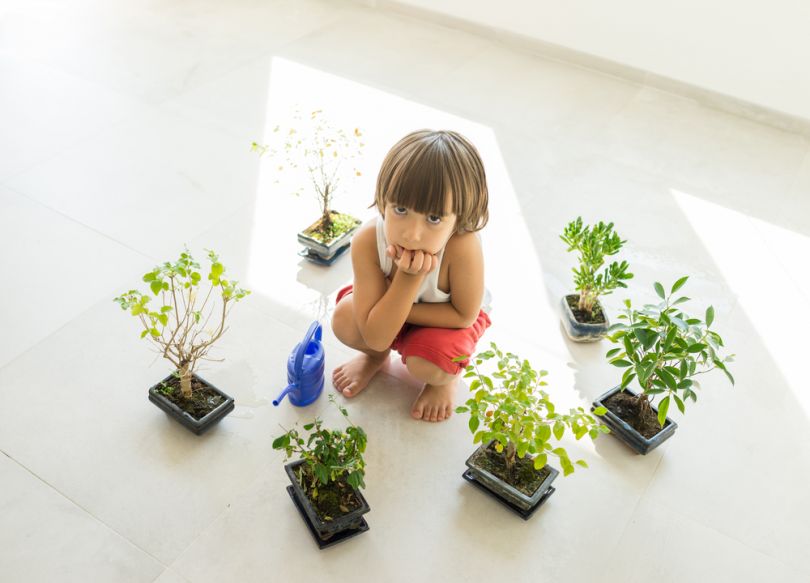 Какими должны быть комнатные растения для детской комнаты?